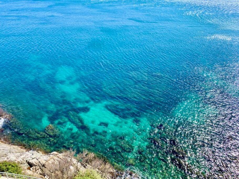 Les Pieds Dans L'Eau, La Tete Dans Les Nuages, Roses Exterior foto